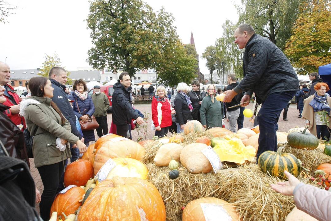 Rudens derliaus ir moliūgo šventė Kretingoje