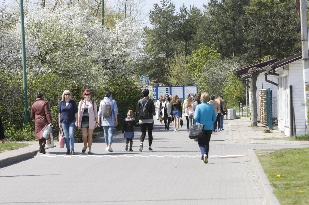 Vasaros sezono pradžia pajūryje