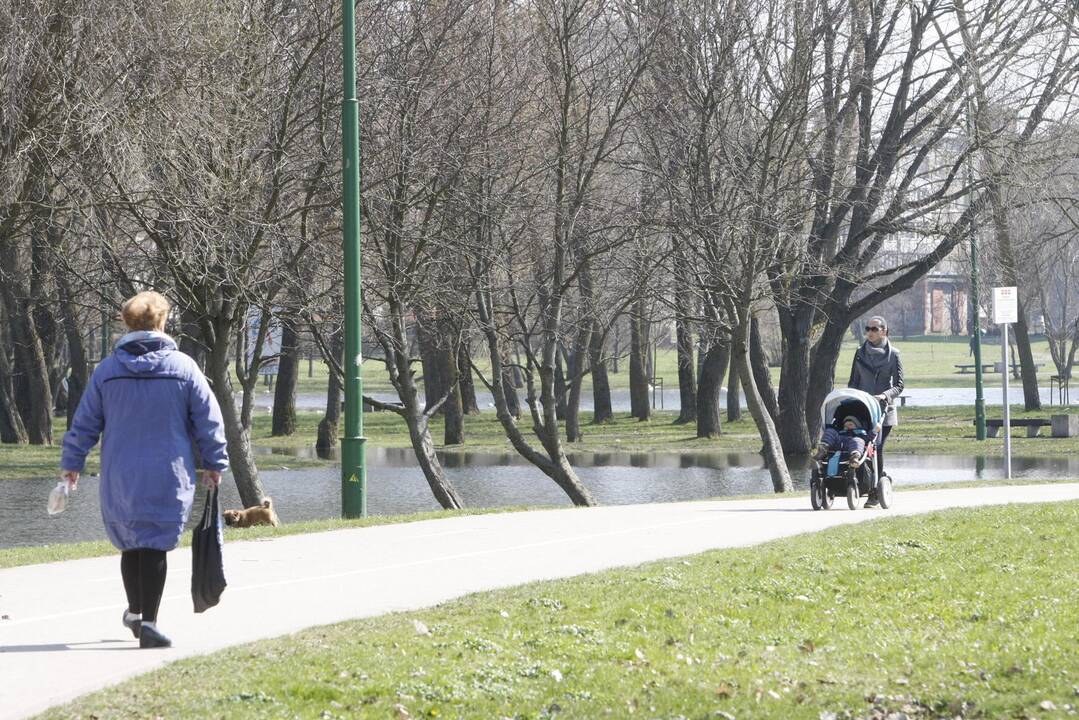 Draugystės parkas tapo šviesesnis