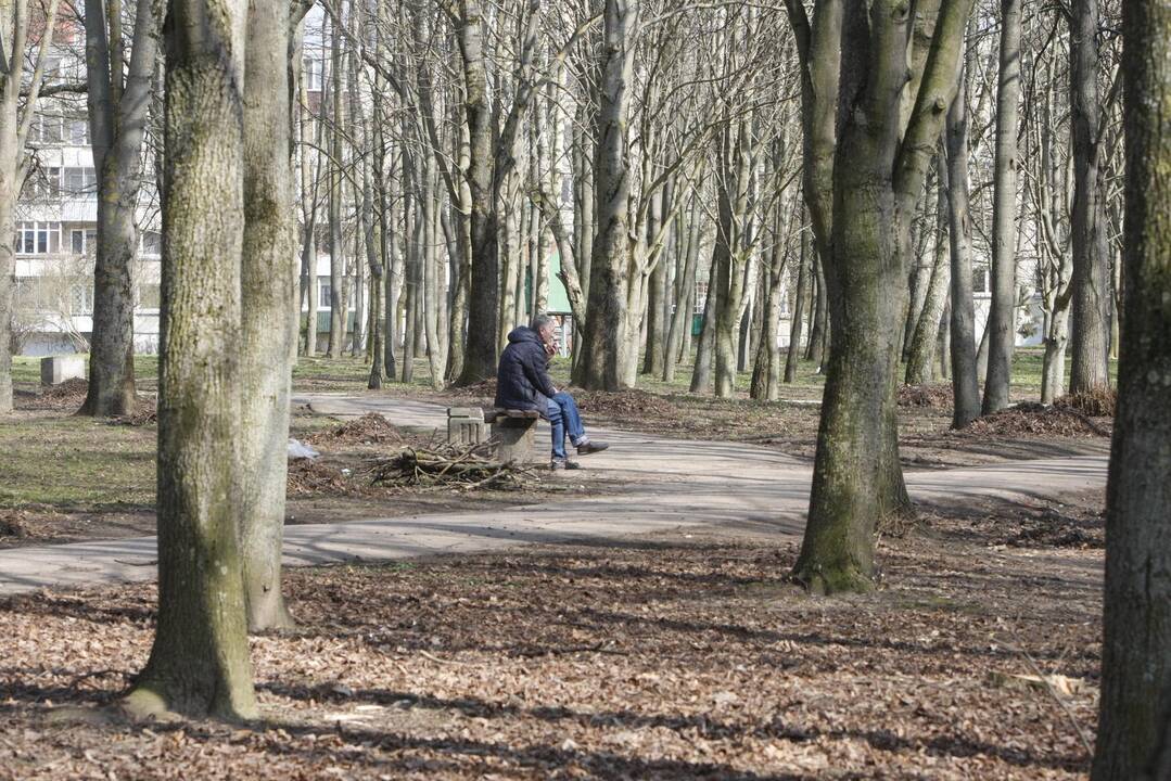 Draugystės parkas tapo šviesesnis