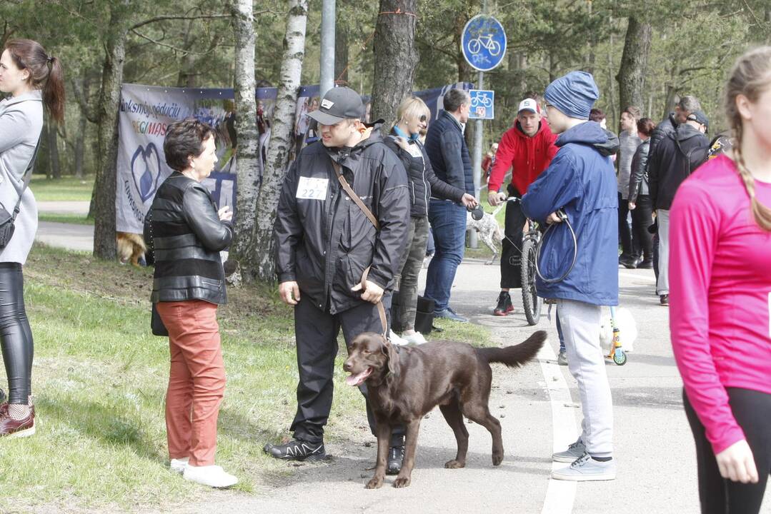 Šuniukų bėgimas Klaipėdoje