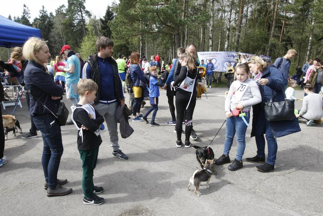 Šuniukų bėgimas Klaipėdoje