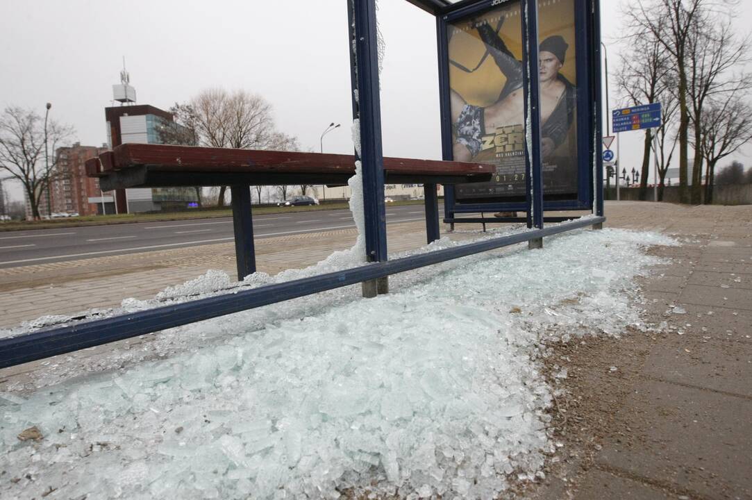 Klaipėdoje siaučia stotelių niokotojai