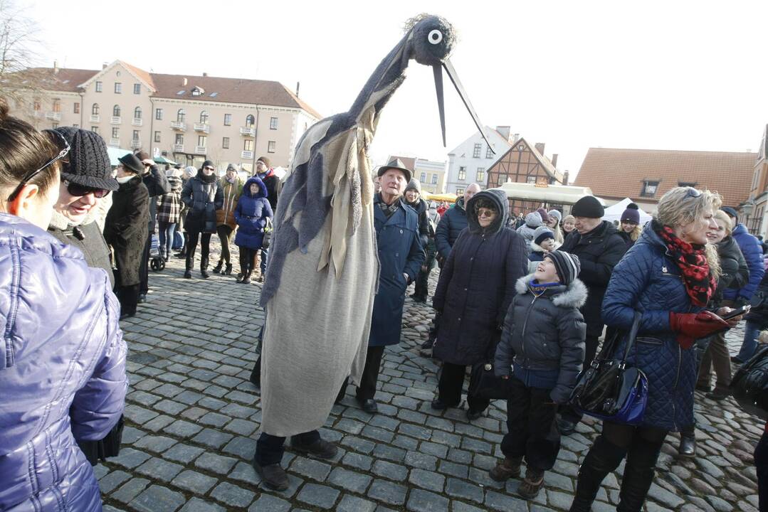 Užgavėnės 2016 Klaipėdoje