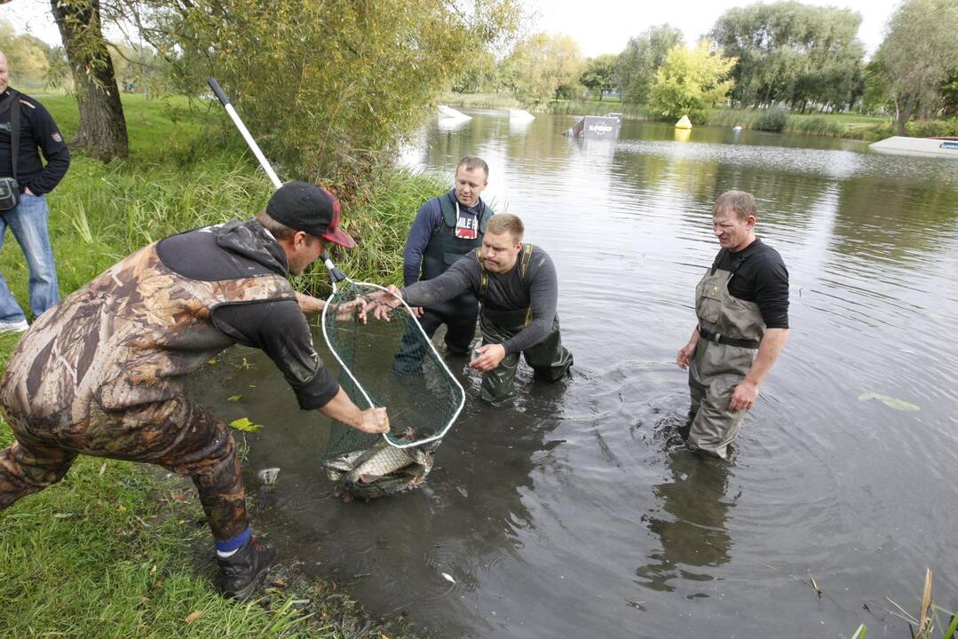 Trinyčiuose apgyvendintas žmogaus dydžio šamas