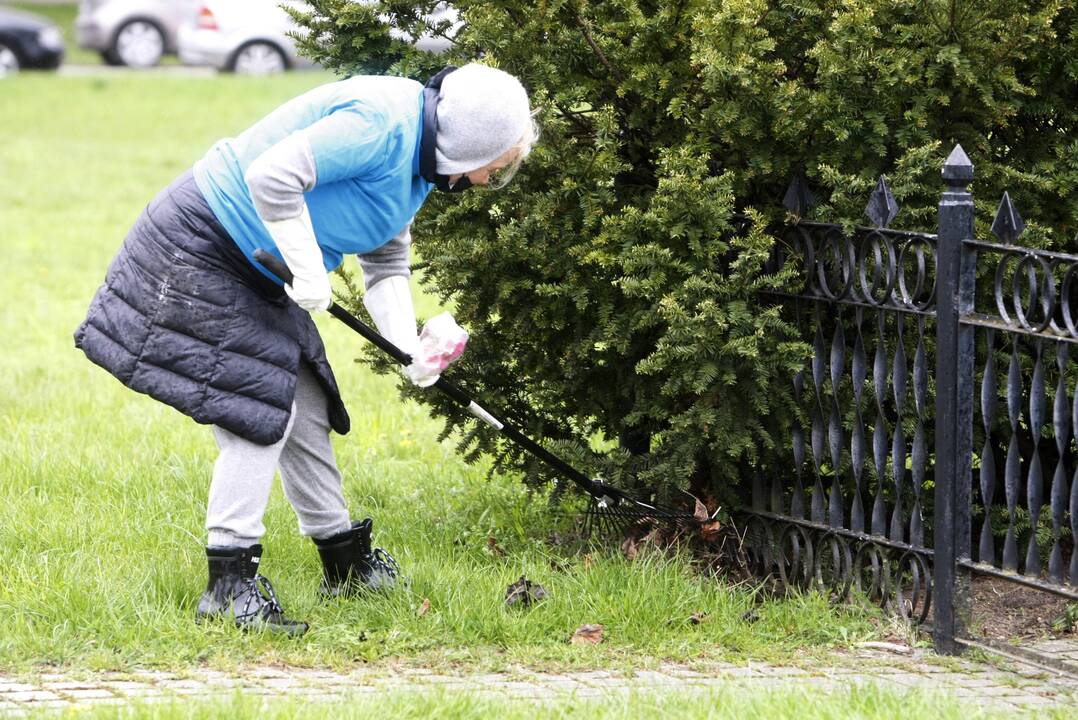 Vitės bendruomenės talka