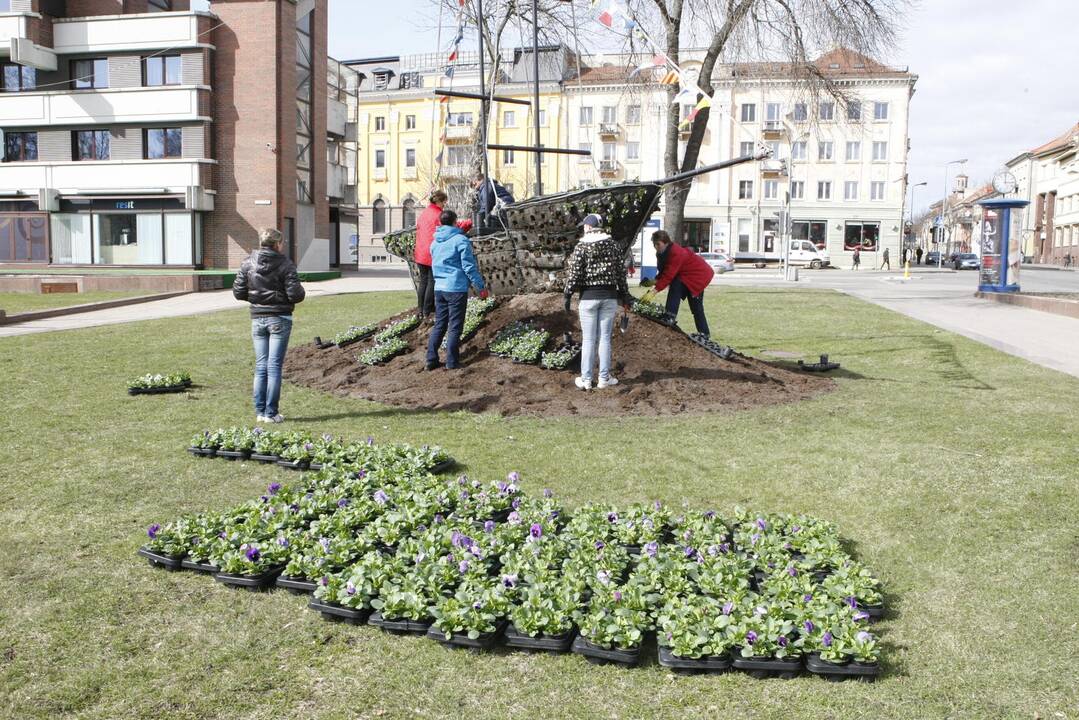 Klaipėdoje pradėjo sodinti gėles