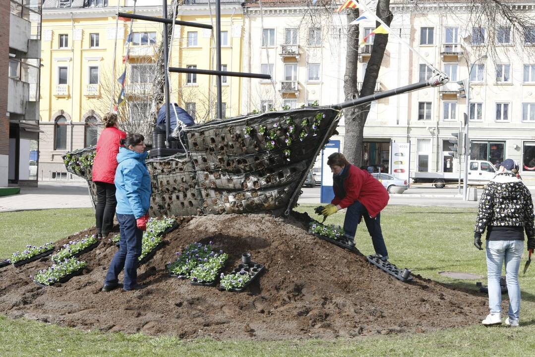 Klaipėdoje pradėjo sodinti gėles