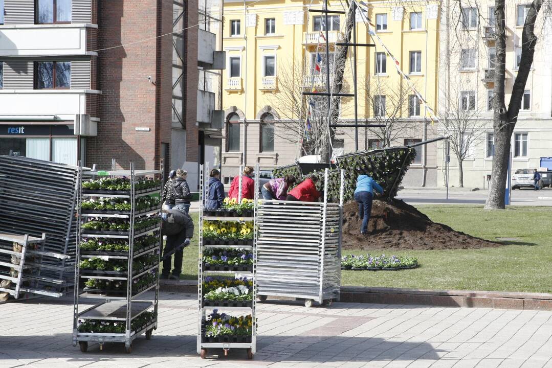 Klaipėdoje pradėjo sodinti gėles