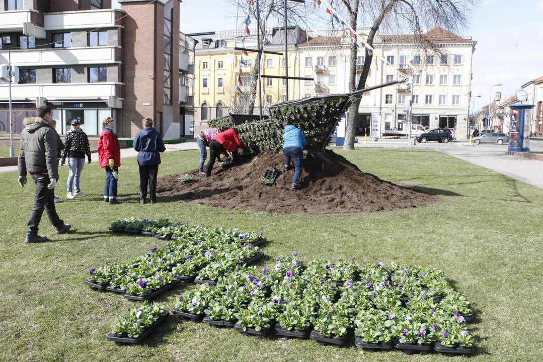 Klaipėdoje pradėjo sodinti gėles