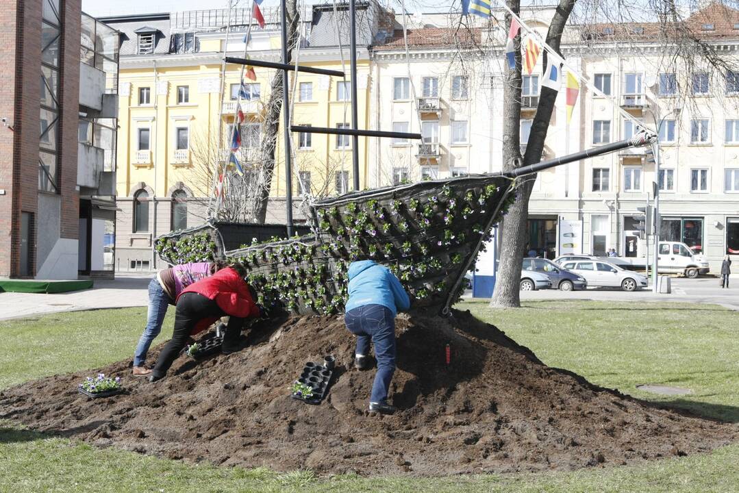 Klaipėdoje pradėjo sodinti gėles