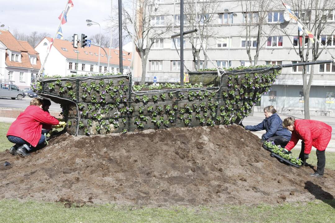 Klaipėdoje pradėjo sodinti gėles