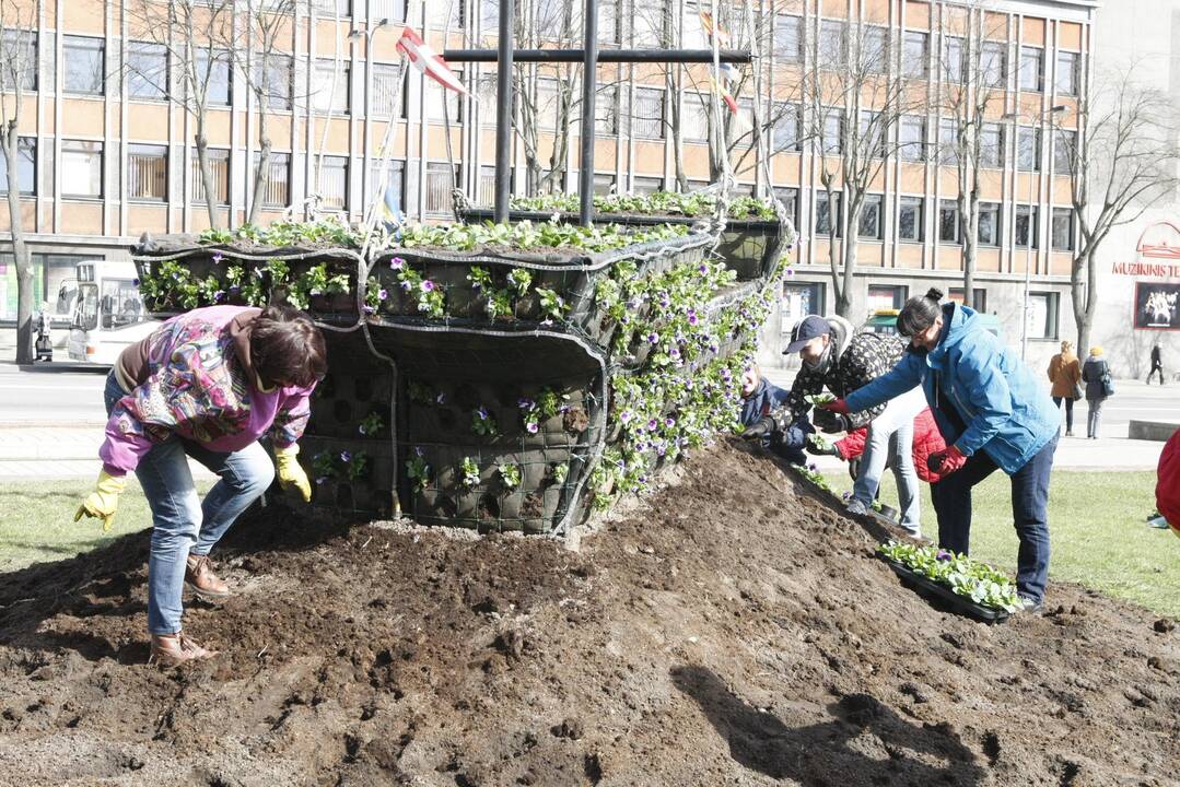 Klaipėdoje pradėjo sodinti gėles