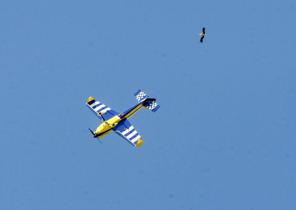 Aviamodelių varžybos Mickuose