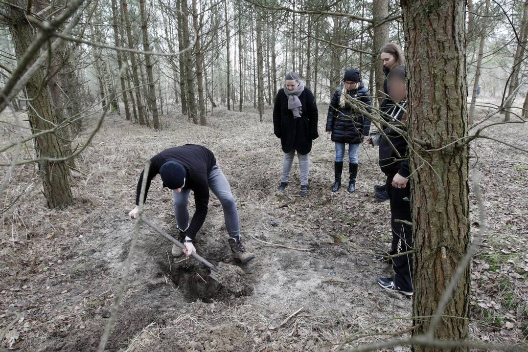 Dingusio vaikino paieška