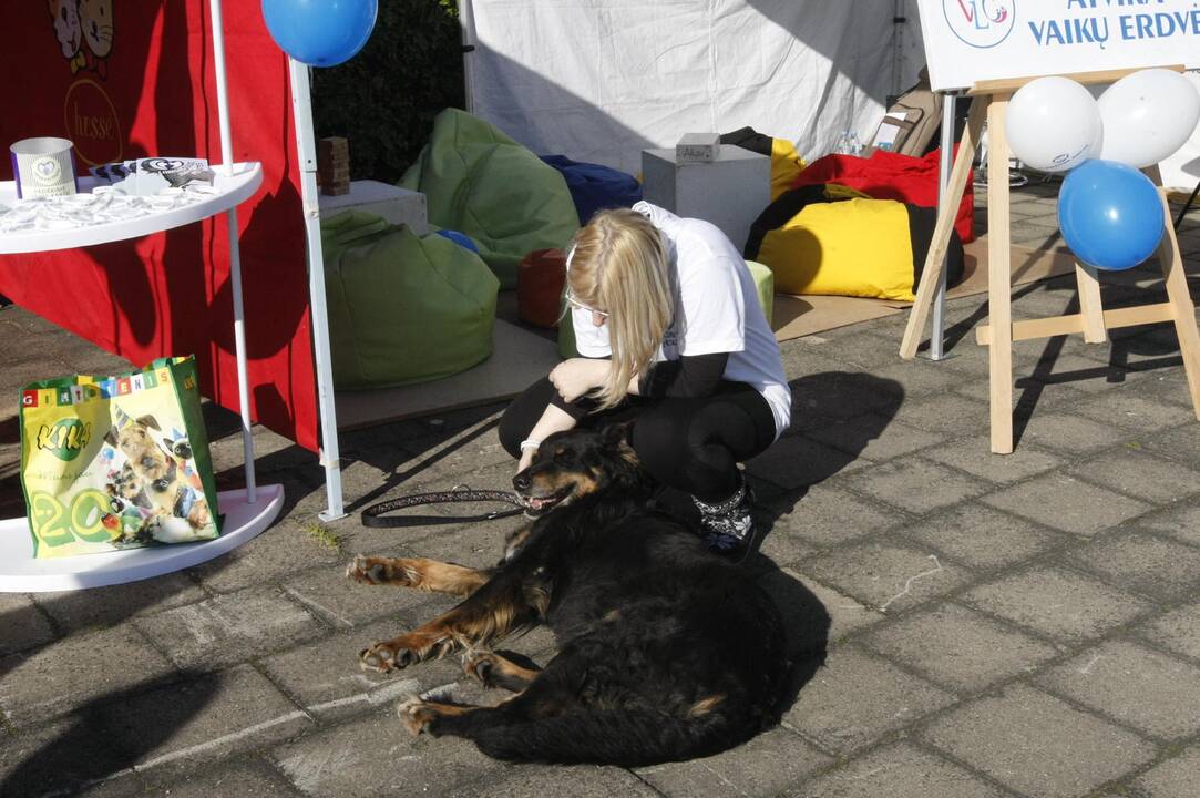 Šeimos pramogų uostas