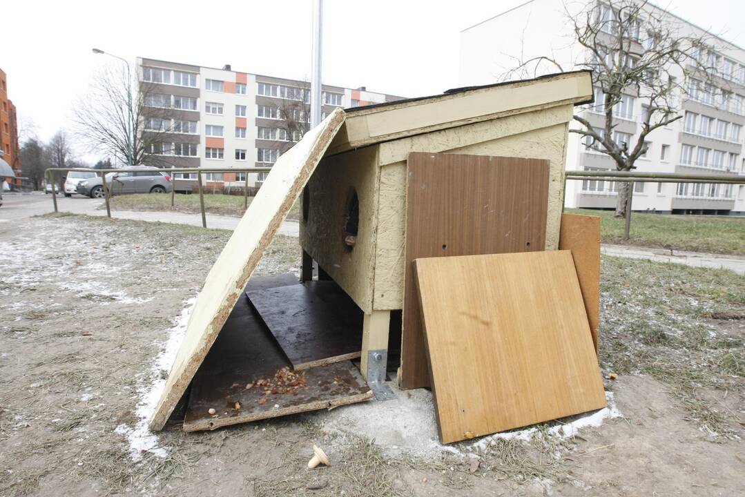 Katėms – nauji apartamentai