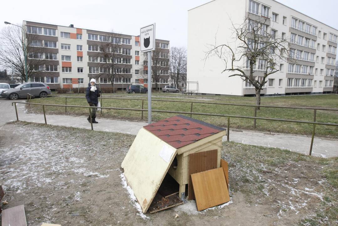 Katėms – nauji apartamentai