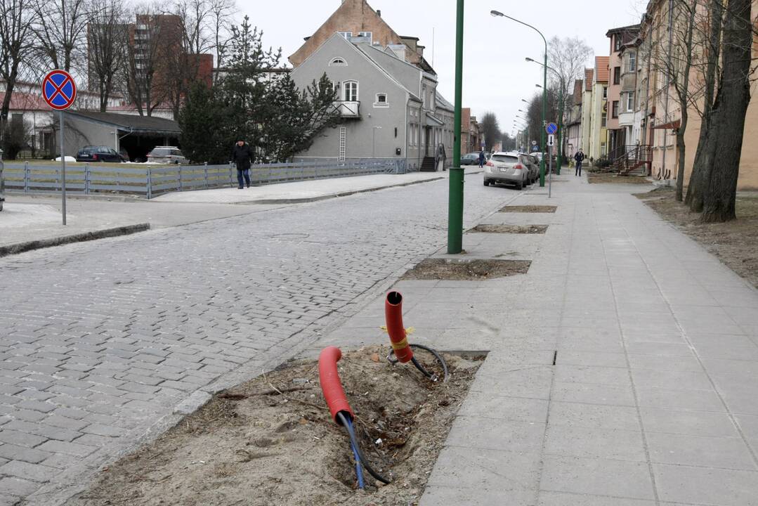 Klaipėdai trūksta vyriausiojo sodininko