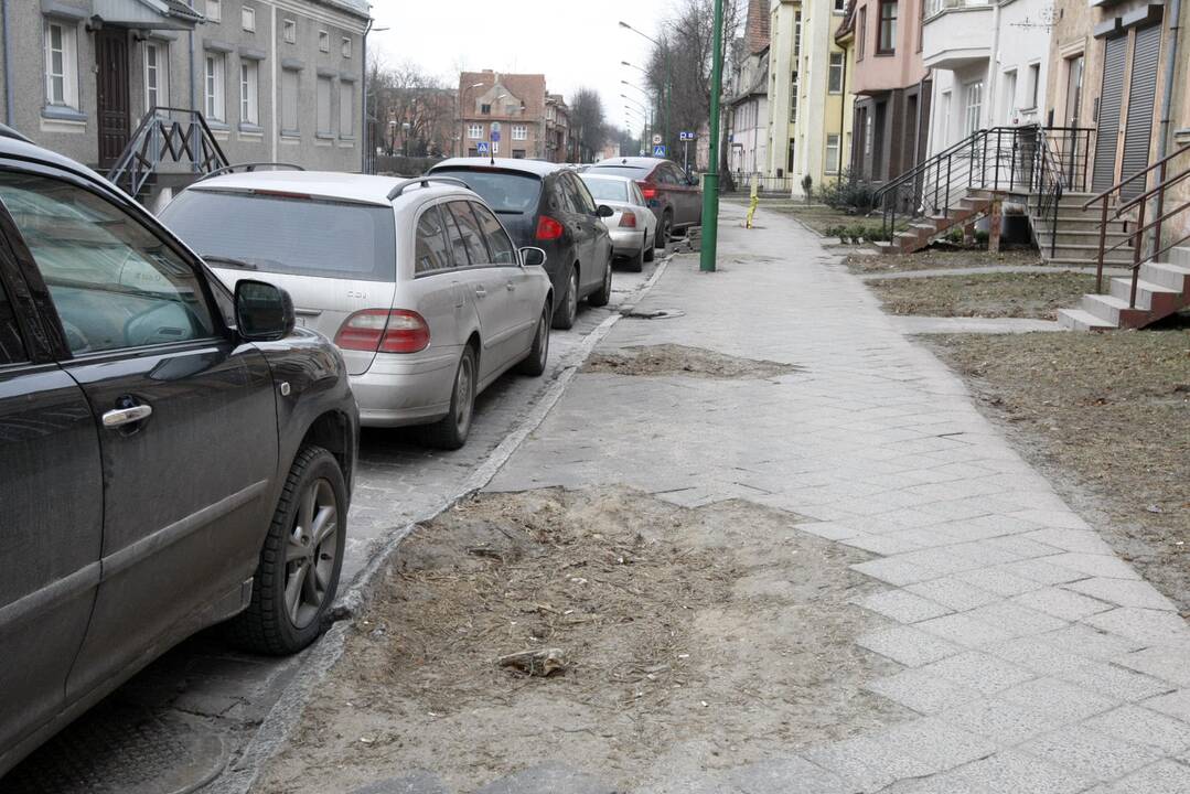 Klaipėdai trūksta vyriausiojo sodininko