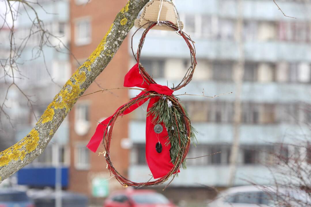 Klaipėdoje išdygo besmegenių alėja