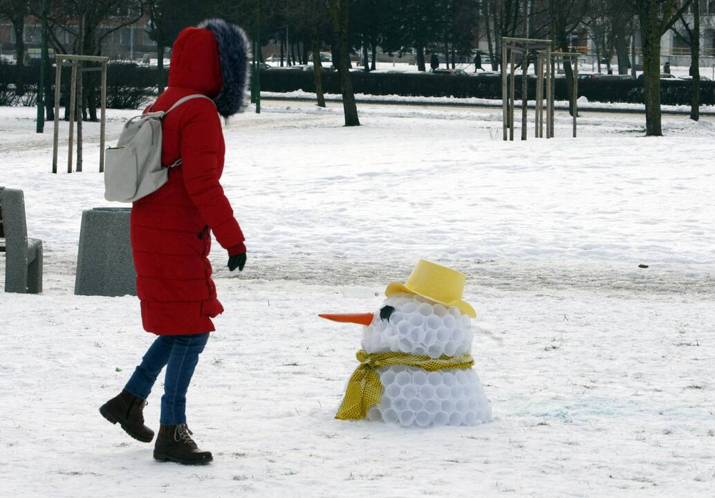 Klaipėdoje išdygo besmegenių alėja