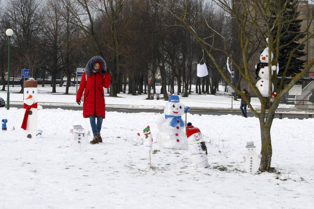 Klaipėdoje išdygo besmegenių alėja