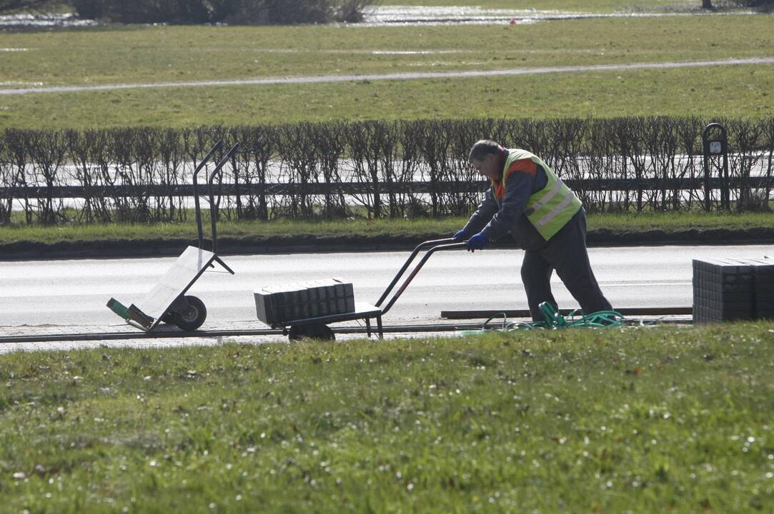 Ant šaligatvio nebeliks pelkės