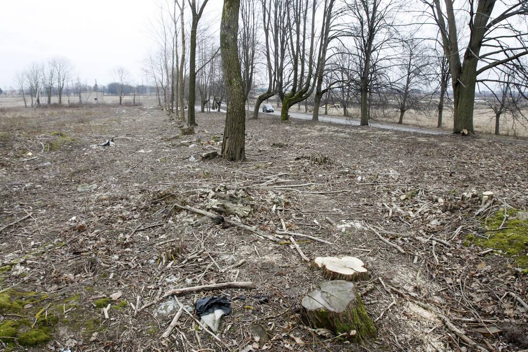Tarnybos nerado gamtos teršėjų