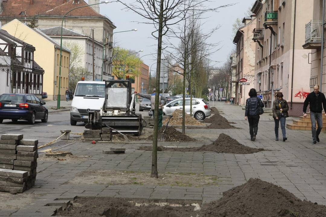 Medžių sodinimas