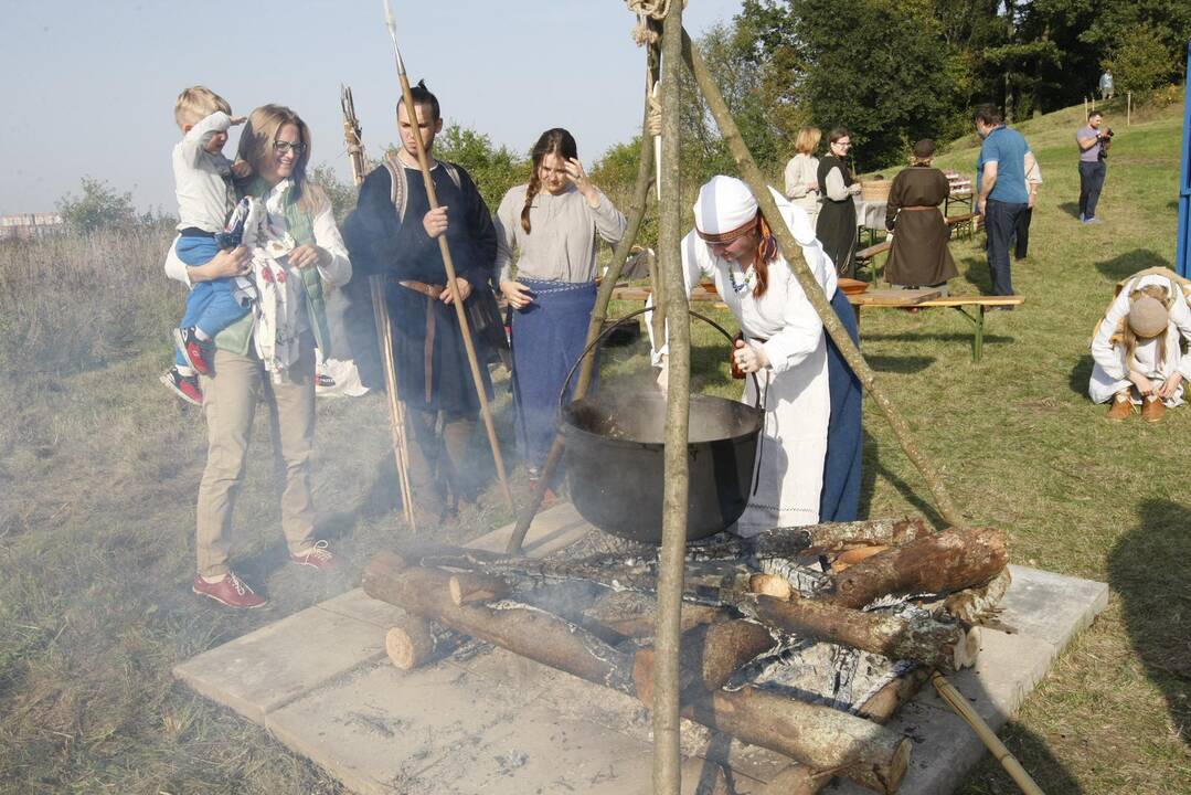 Žardės piliakalnis