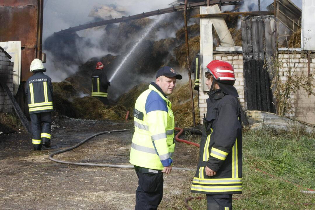 Klaipėdos rajone liepsnoja šieno prikrautas angaras