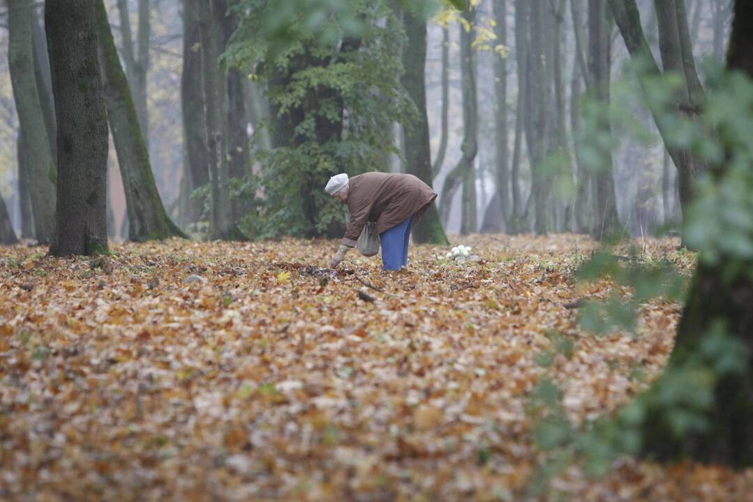 Klaipėdiečiai plūsta lankyti artimųjų kapų