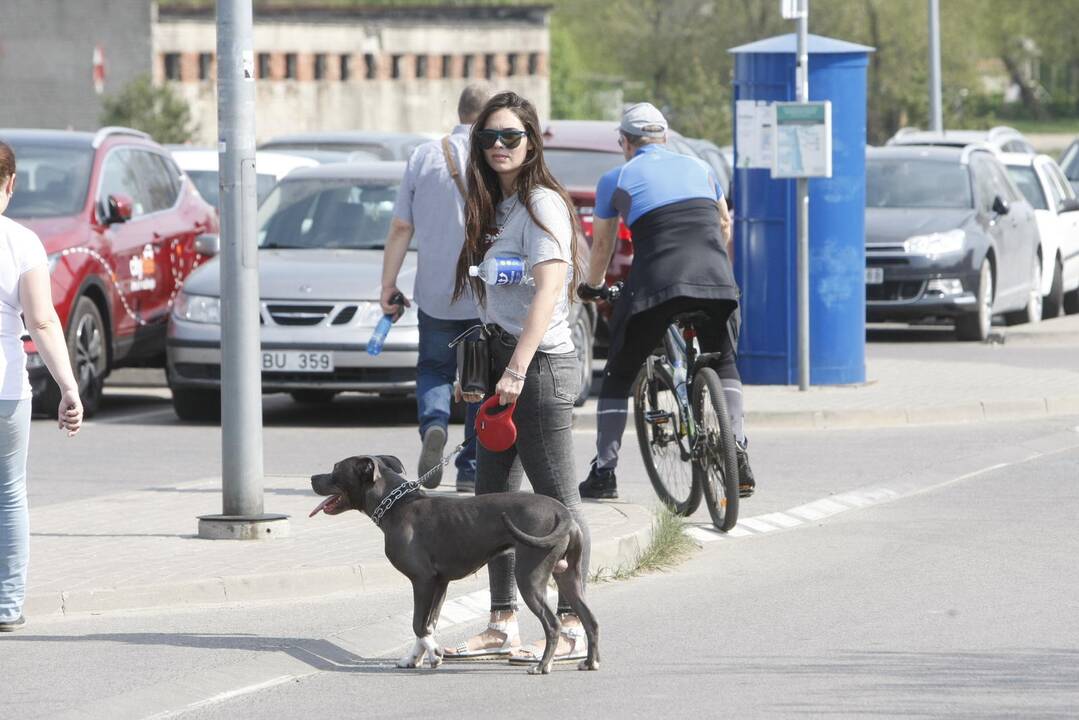 Klaipėdiečiai prie jūros