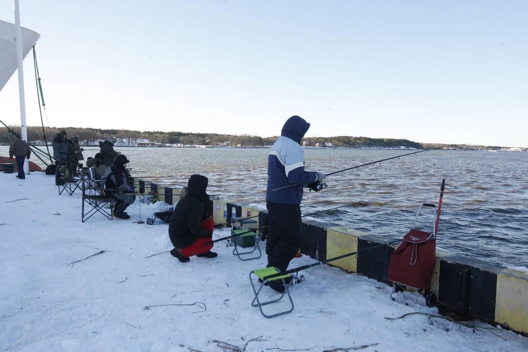 Stintų žvejyba uostamiestyje – „ant bangos“