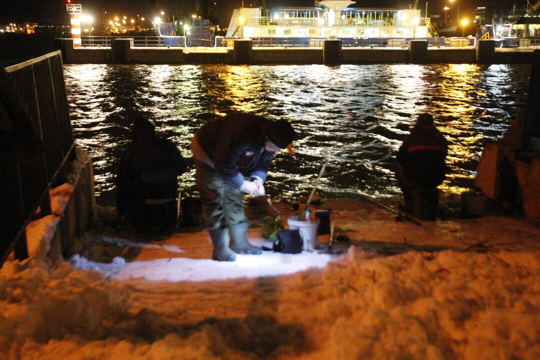 Stintų žvejyba uostamiestyje – „ant bangos“