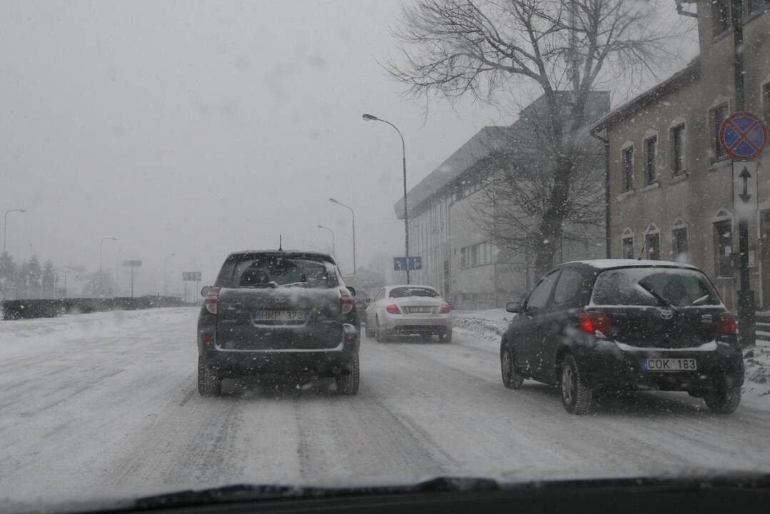Pūga Klaipėdoje