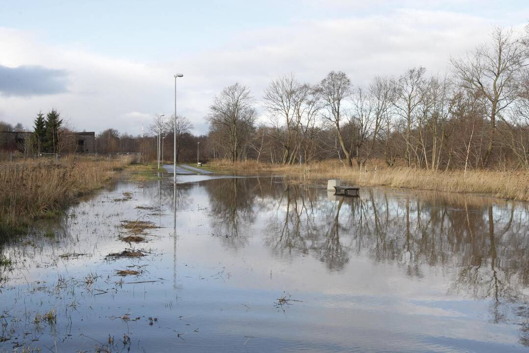 Purmaliuose vanduo tuoj sieks namų stogus