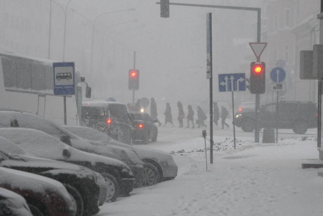 Pūga Klaipėdoje