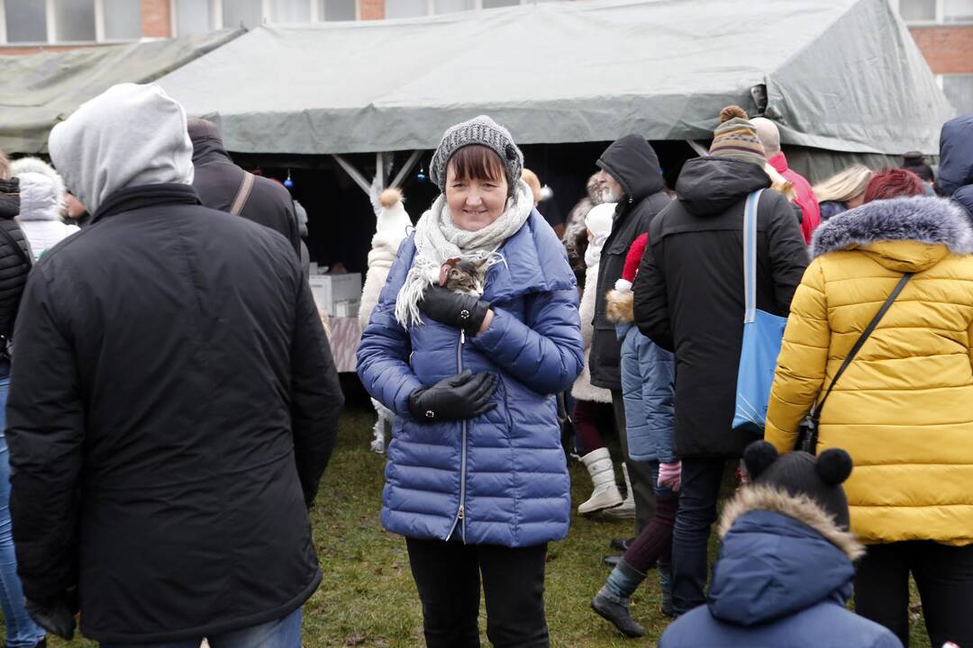 Keturkojų Kalėdos 2017