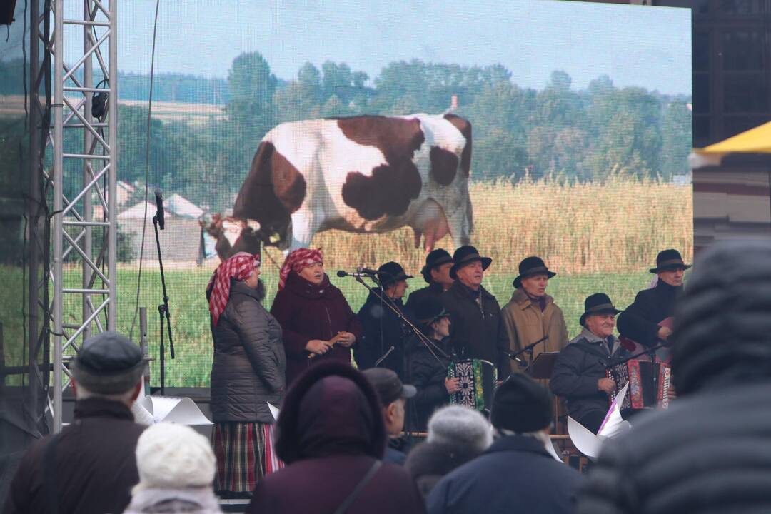 Kaziuko mugė Klaipėdoje 2019