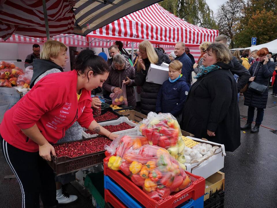 Rudens derliaus ir moliūgo šventė Kretingoje