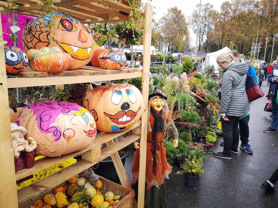 Rudens derliaus ir moliūgo šventė Kretingoje