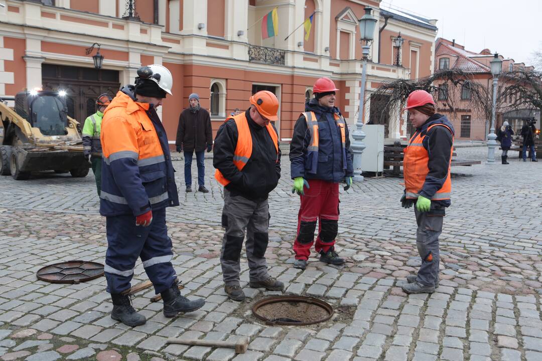 Klaipėda žiemos šventes pasitiks su gyva eglute