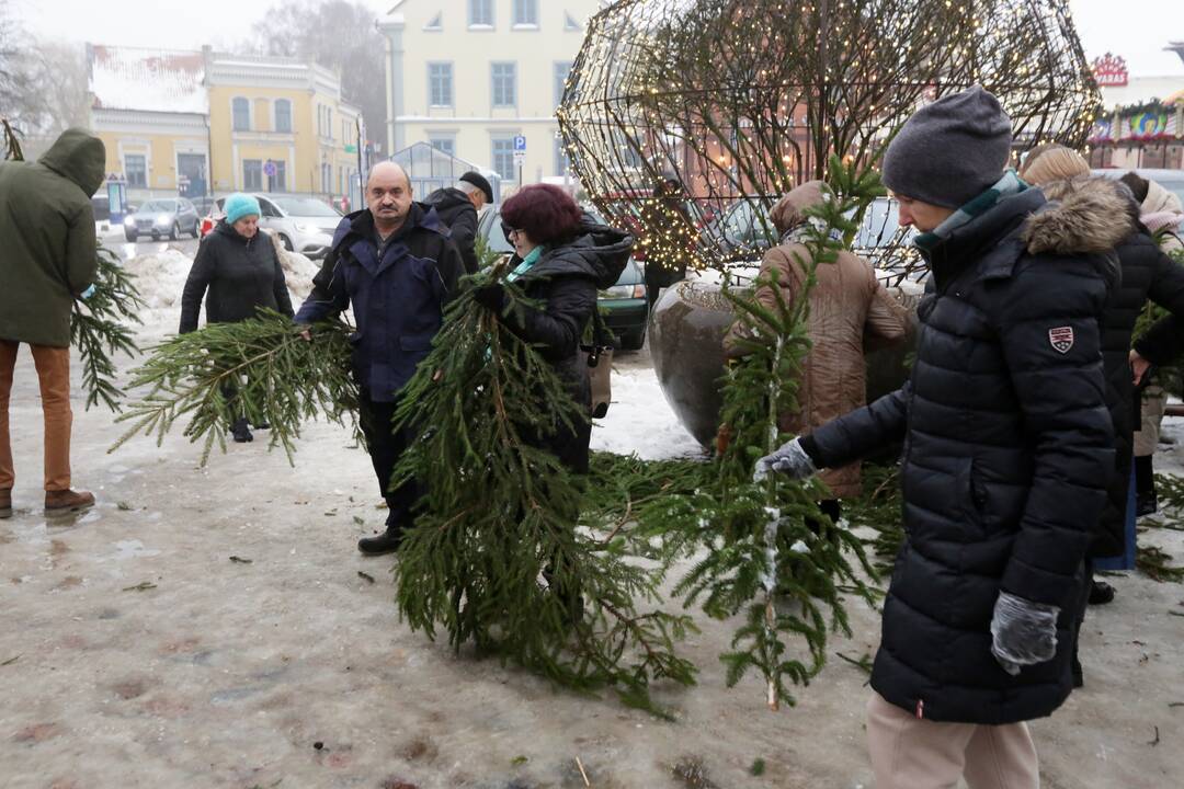 Šakų dalinimo akcija Klaipėdoje