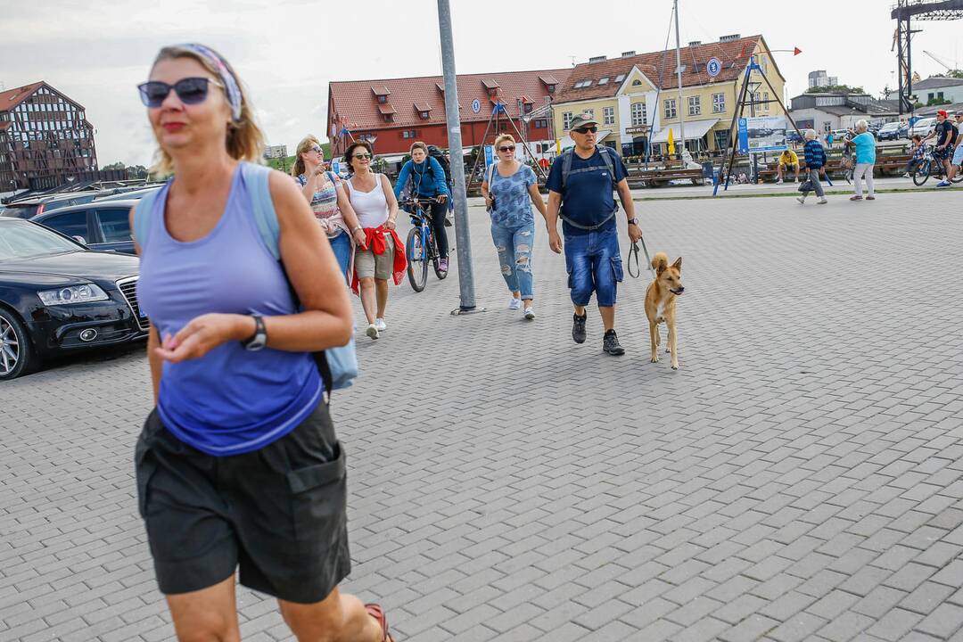 Tarptautinei benamių gyvūnų dienai – simbolinis žygis