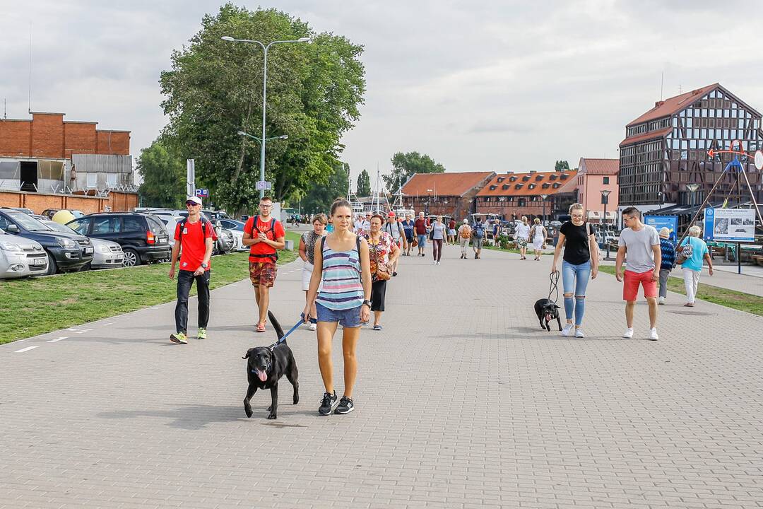 Tarptautinei benamių gyvūnų dienai – simbolinis žygis