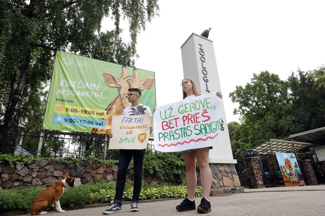 Piketas prie Lietuvos zoologijos sodo