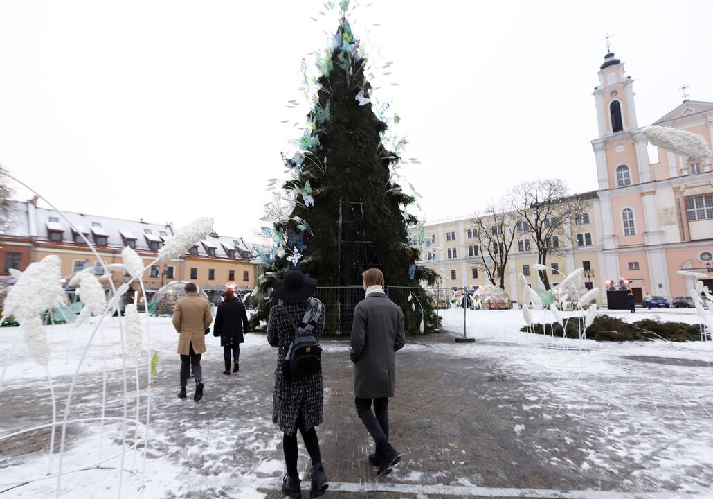 Kauno Rotušės aikštėje padegta miesto Kalėdų eglė