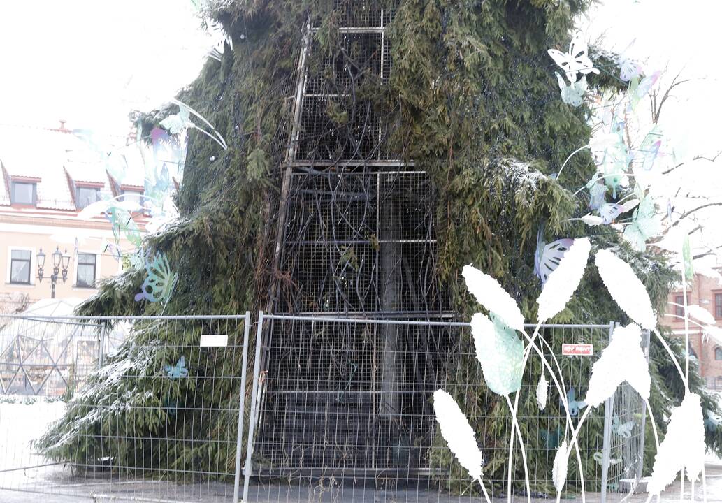Kauno Rotušės aikštėje padegta miesto Kalėdų eglė